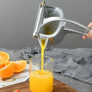 Handmatige Citruspers RVS &ndash; Draagbare Multifunctionele Fruitpers