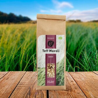 Biologische Teff muesli cranberries 250 gram