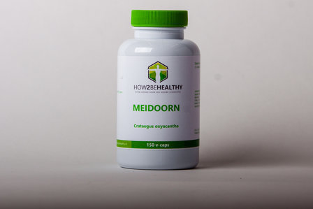 Meidoorn - Crataegus Oxyacantha