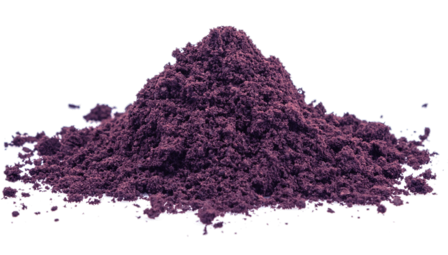 biologisch Acai berry poeder 125 gram