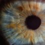 Iriscopie | oogdiagnose