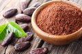 Cacao poeder | bio raw | 250 gram