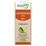Cholestegem - Cholesterol complex - Herbalgem