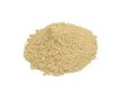 Biologisch Dong Quai poeder - 125 gram