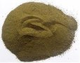 Graviola poeder 125 gram 